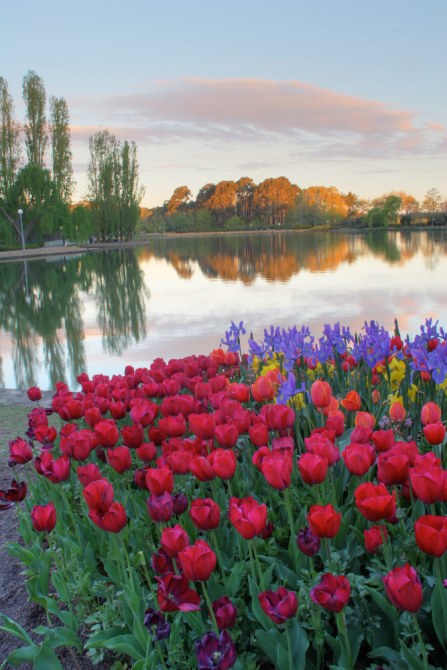 Floriade lake view.jpg